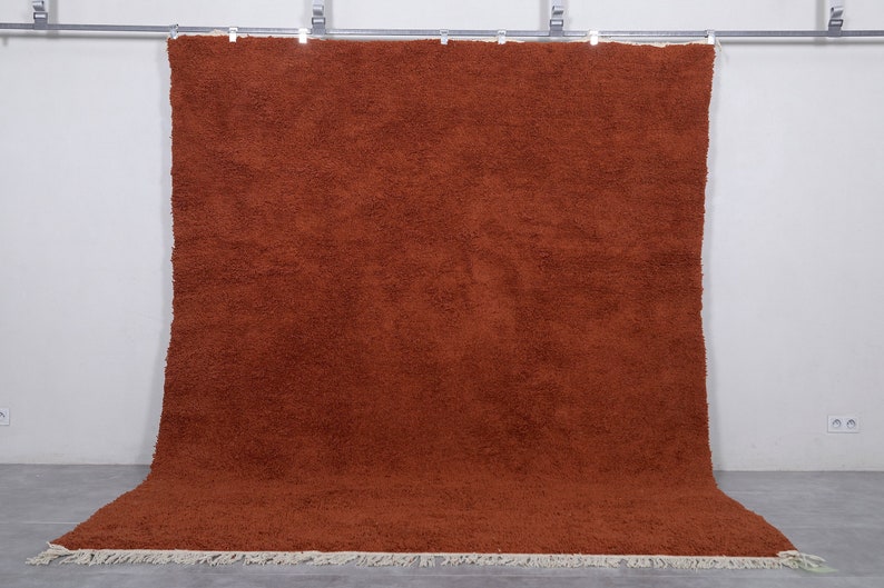 May include: A large, rust-colored rug with a thick, fluffy texture. The rug has a fringe border and is hanging on a white wall.