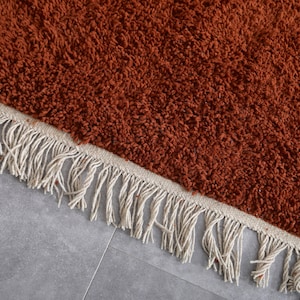 May include: A close-up of a rust-colored shag rug with a white fringe border.
