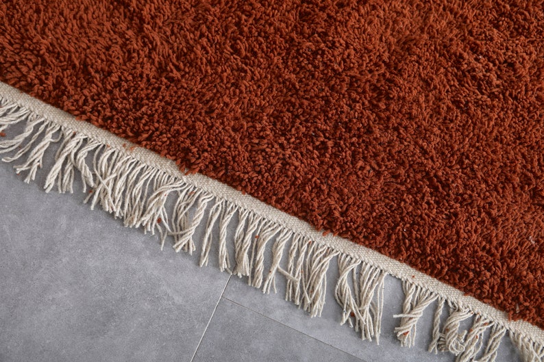 May include: A close-up of a rust-colored shag rug with a white fringe border.