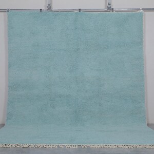 May include: A light blue shag rug with a white fringe border. The rug is hanging on a wall with a white background.