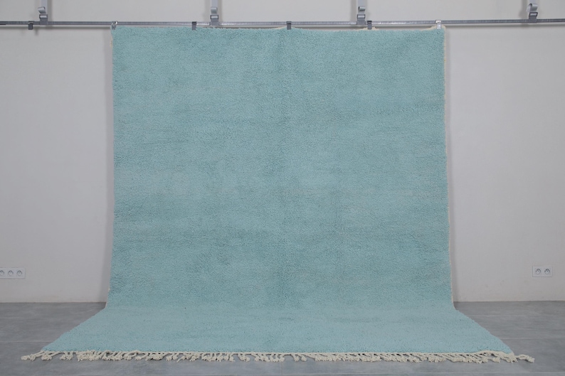 May include: A light blue shag rug with a white fringe border. The rug is hanging on a wall with a white background.