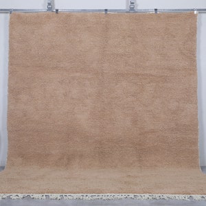 May include: A large, light brown, shag rug with a white fringe border. The rug is hanging on a wall with a white background.