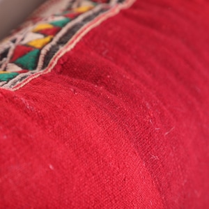 May include: Close-up of a red throw pillow with a colorful embroidered design. The pillow is made of a soft, fuzzy fabric.