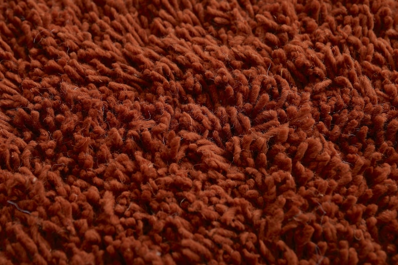 May include: Close-up of a brown, fuzzy rug with a soft, textured surface.