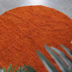 May include: A round, orange shag rug with a soft, fluffy texture. The rug is on a gray floor and a green plant is in the foreground.
