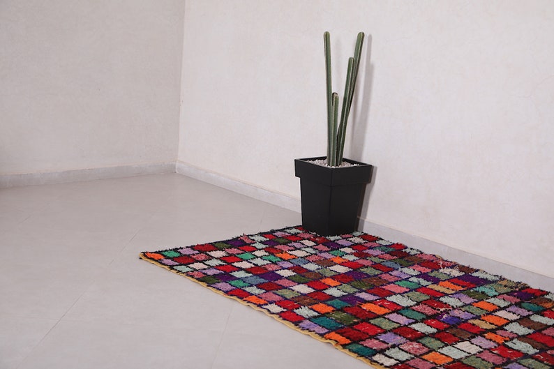 May include: A colorful, geometric patterned rug with a black planter and a tall, green cactus plant in a white corner.