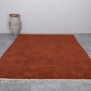 May include: A rust-colored shag rug with a white fringe border. The rug is laid out on a gray tiled floor.