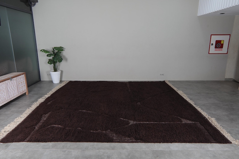 May include: A large, rectangular brown rug with a shaggy texture. The rug has a cream-colored fringe along the edges and is placed on a concrete floor. A potted plant is visible in the background.