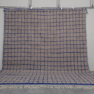 May include: A large, rectangular rug with a grid pattern in blue and beige. The rug has a fringe border.