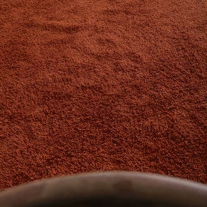May include: A close-up of a rust-colored shag rug with a light brown fringe. The rug is soft and fluffy.