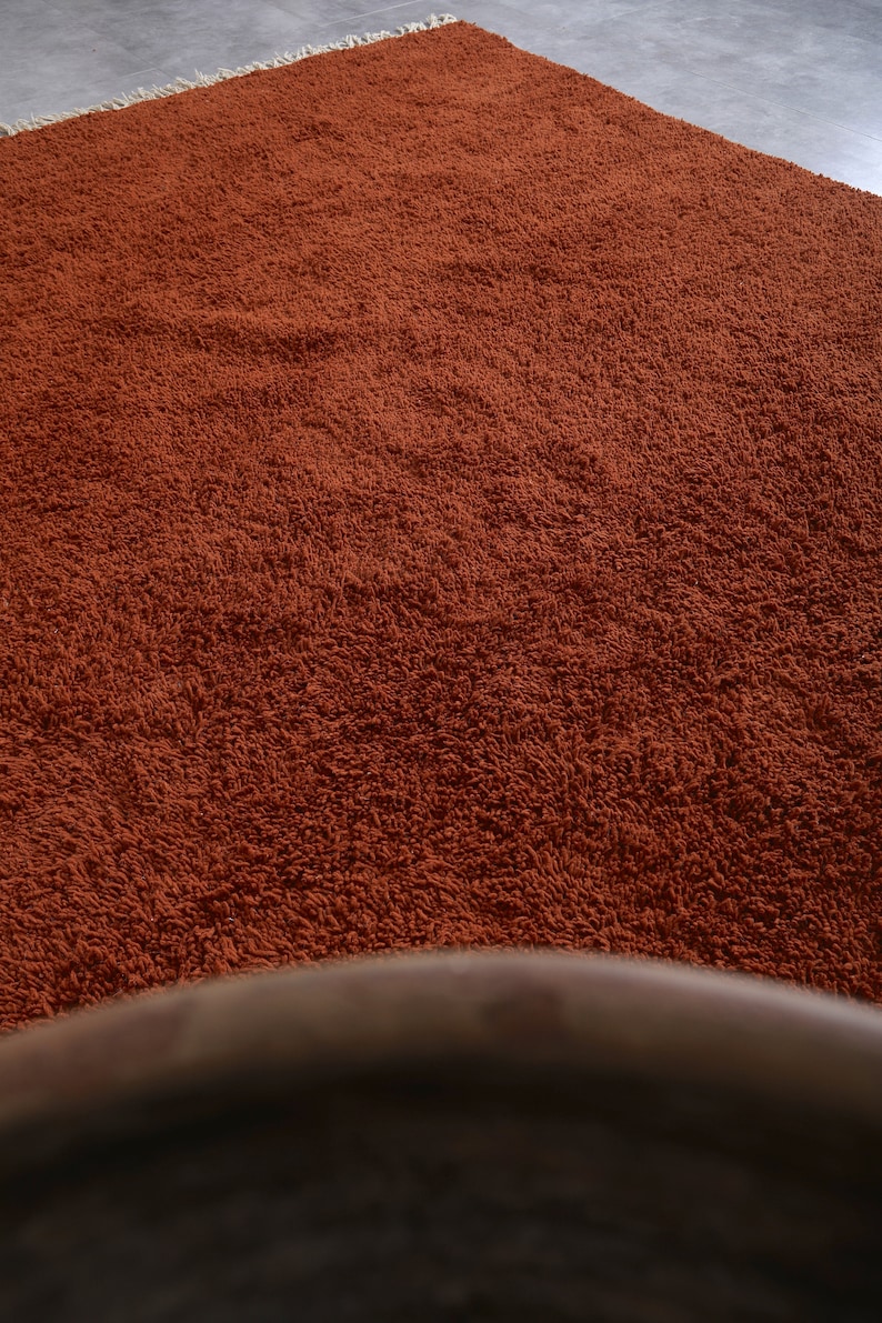 May include: A close-up of a rust-colored shag rug with a light brown fringe. The rug is soft and fluffy.