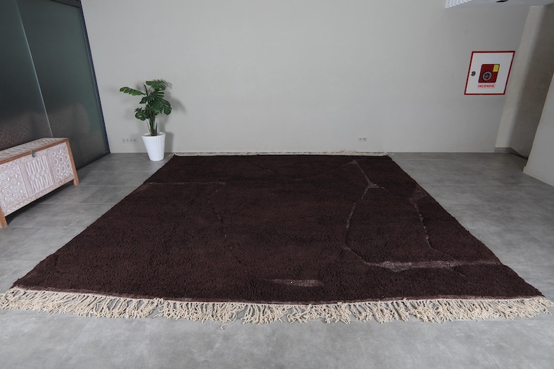 May include: A large, rectangular brown rug with a shaggy texture and a cream-colored fringe. The rug is placed on a gray concrete floor. A potted plant and a decorative cabinet are visible in the background.