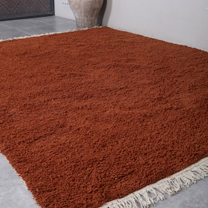 May include: A rust-colored shag rug with a white fringe border. The rug is laid out on a gray floor.