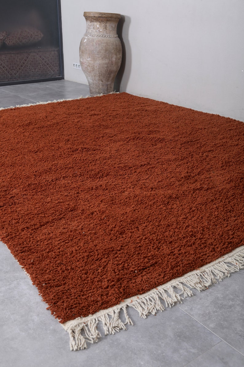 May include: A rust-colored shag rug with a white fringe border. The rug is laid out on a gray floor.