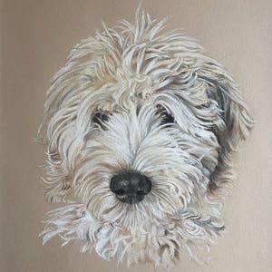 Pet Paintings, Pet Illustration, Pet Artists, Pet Portraits, Dog Artists, Dog Paintings, Pet Art, Dog Lovers Art, Dog Artwork, Pastel Art