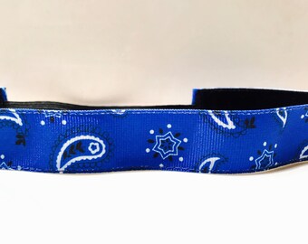 Blue Bandana