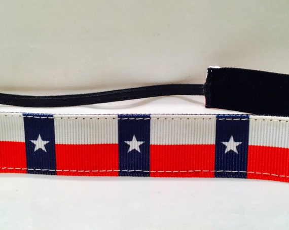 Texas Flag