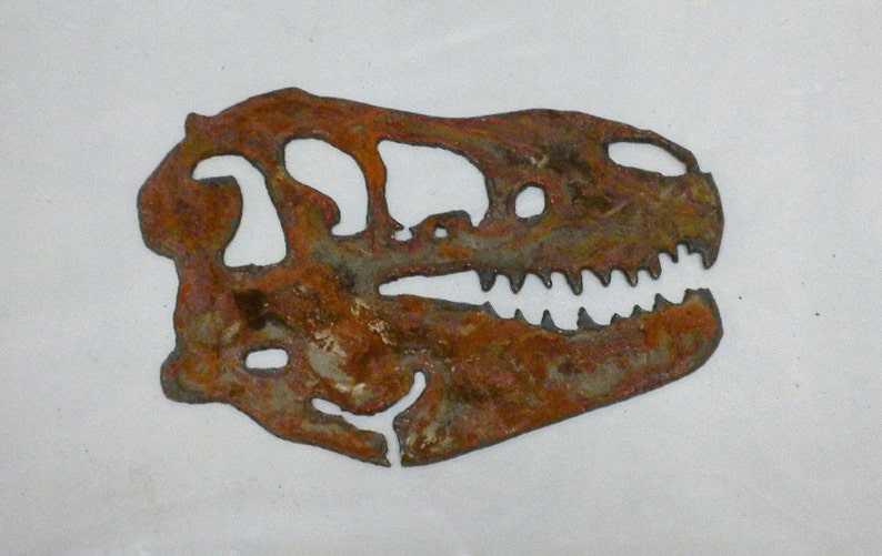 t rex shape