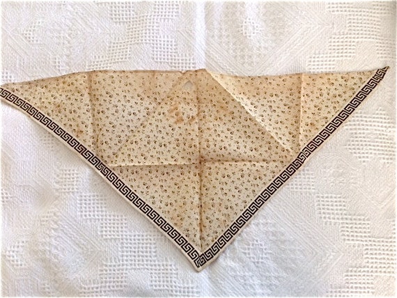 Mid 19th C Girl's Neckerchief Collection - image 9