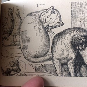 Antique Children's Book with Cats Velvet Coat image 3
