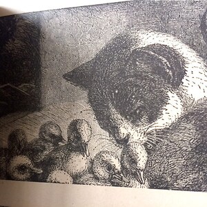 Antique Children's Book with Cats Velvet Coat image 4