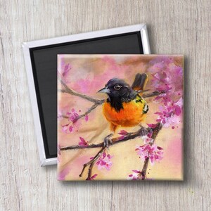 Oriole-Magnet – 5,1 x 5,1 cm