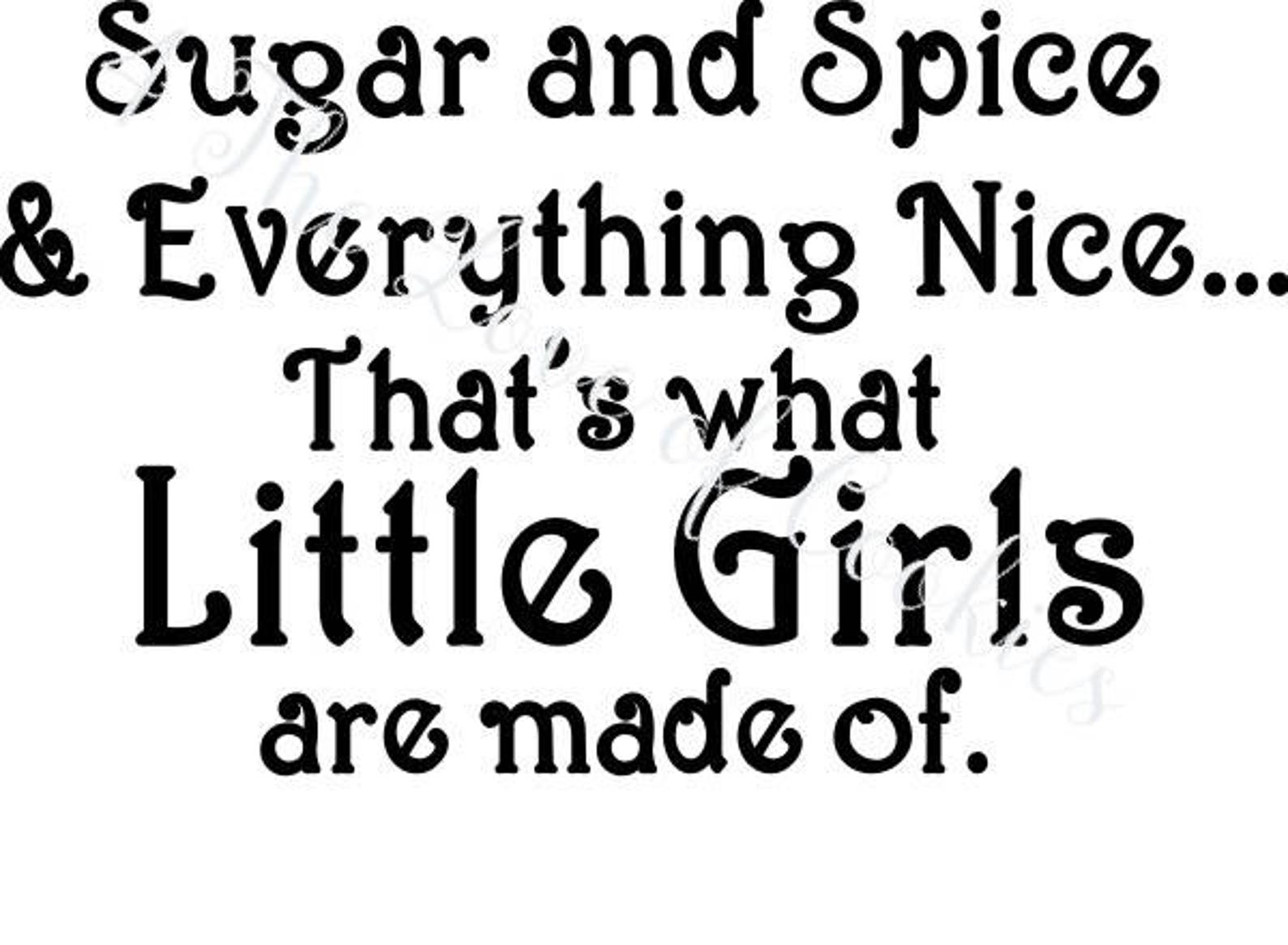 Sugar and Spice Silk Screen Stencils Baby Girl Stencil Etsy
