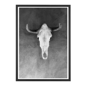 Black and white photo prints, Cow Skull, southwestern wall art, western style wall decor, gallery photo