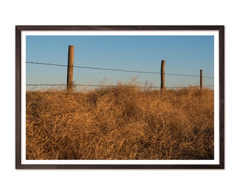 Colorado Print | Rural Photography | Rural Landscape | Tumbleweeds | Eastern Plains Colorado | Horizontal Wall Art