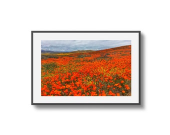 Kalifornischer Mohnfeld Fotodruck: Antelope Valley Blumenlandschaft