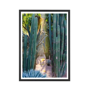 Morocco Photography Print, Garden Print, Travel Photography, Wall Decor, Wall Art