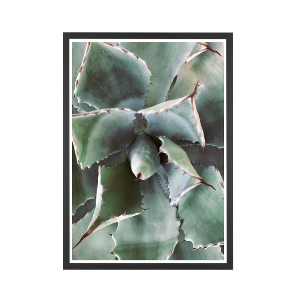 Succulent Print, Cactus Print, Green Succulent, Cactus Wall Art, Botanical Art, Cactus Photography Art, Plant Kitchen Decor