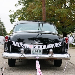 Just Married Banner / Wedding Garland / Getaway Car Sign / Rustic / Wedding Couple Photo Prop/ Wedding Reception Decoration