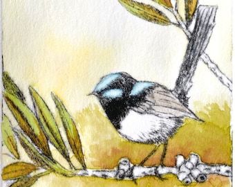 Miniature intaglio print, fairy wren art, dry point etching, bird artwork