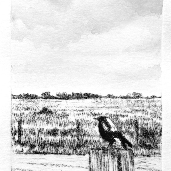 Magpie bird intaglio print, black and white artwork, landscape art, original printmaking