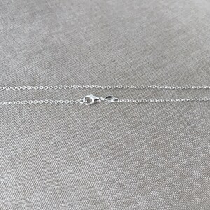 May include: A silver chain necklace with a lobster clasp closure.