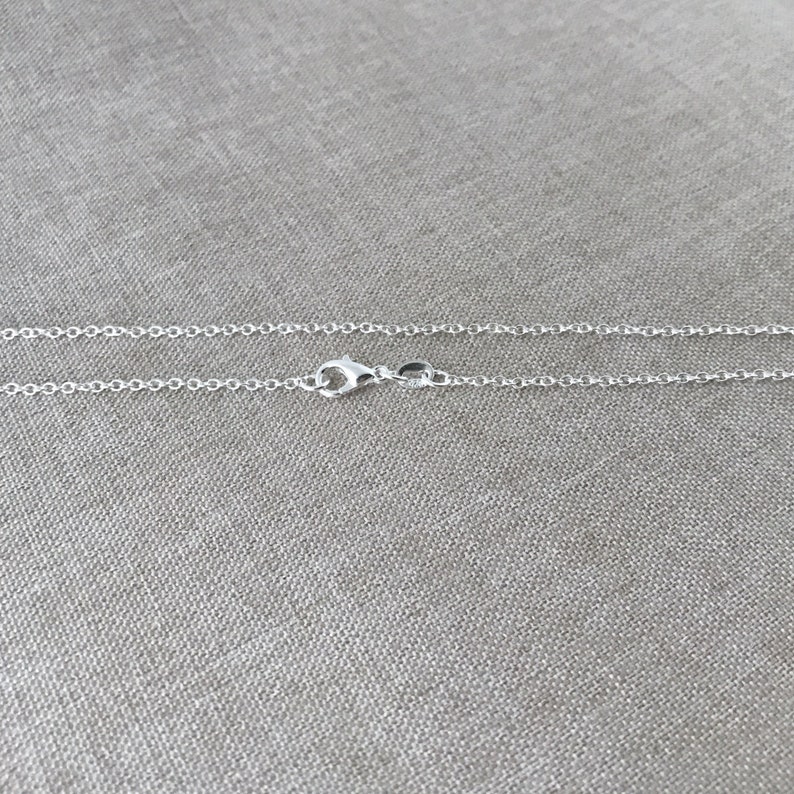 May include: A silver chain necklace with a lobster clasp closure.