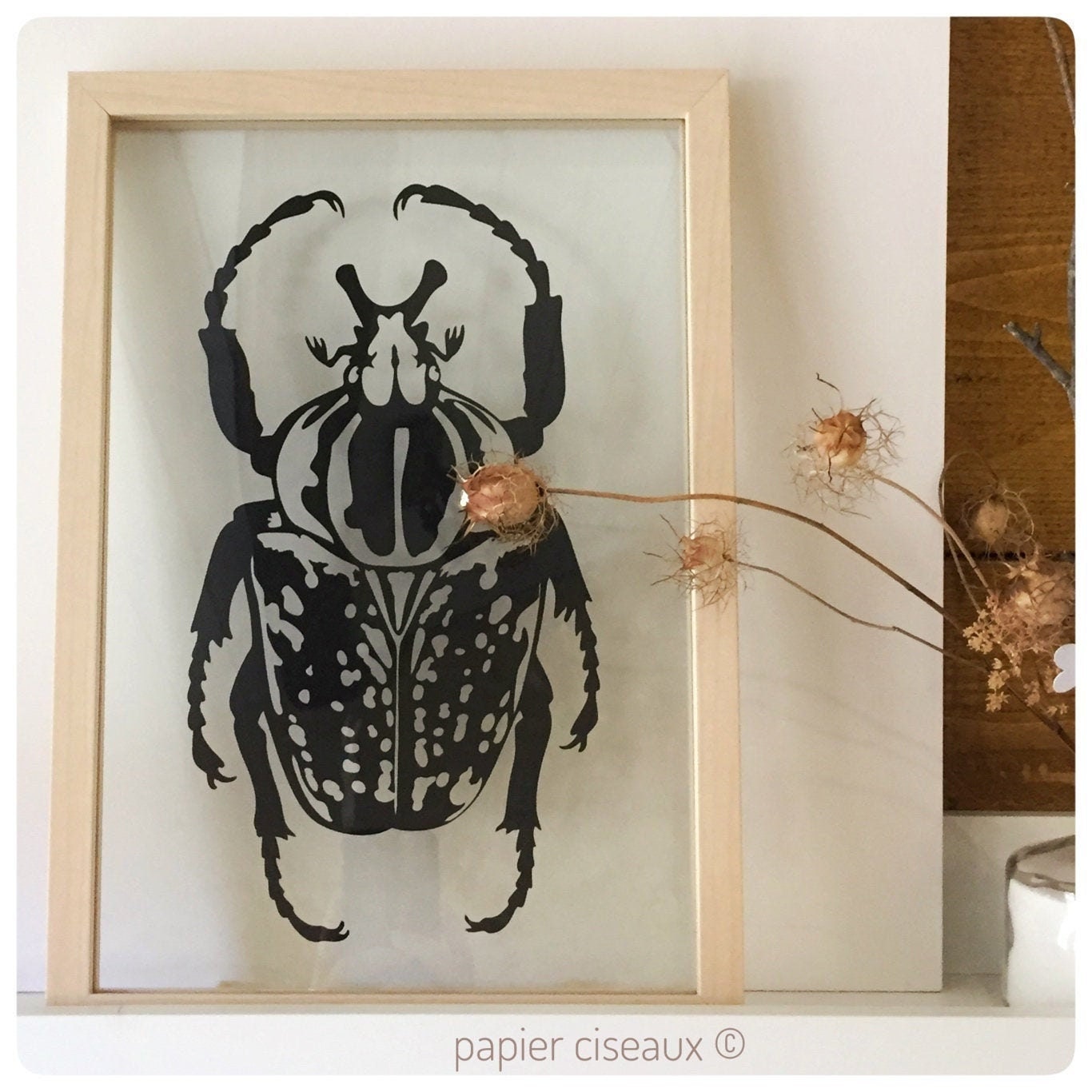 Cadre Cabinet de Curiosité Grand Modèle