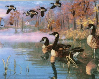 Dimensions 1444 Canadian Geese Pre-Printed Crewel Embroidery Kit Darrell Bush Artwork