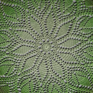 May include: A green and brown crocheted doily with a circular pattern.