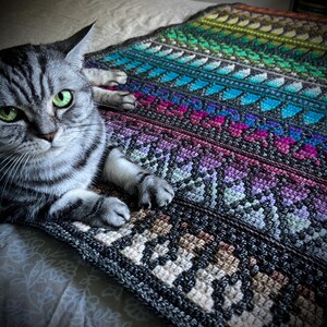 Op de afbeelding: Een kleurrijke, handgehaakte deken met een gestreept ontwerp in tinten blauw, paars, groen en bruin. De deken heeft geometrische patronen en wordt op een bed getoond. Een grijze tabbykat met groene ogen ligt op de deken.