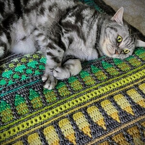 Op de afbeelding: Een zilveren tabbykat rust op een kleurrijke, handgehaakte deken. De deken heeft een geometrisch patroon in groen, geel en grijs. De vacht van de kat heeft donkere strepen en de ogen zijn helder geelgroen.