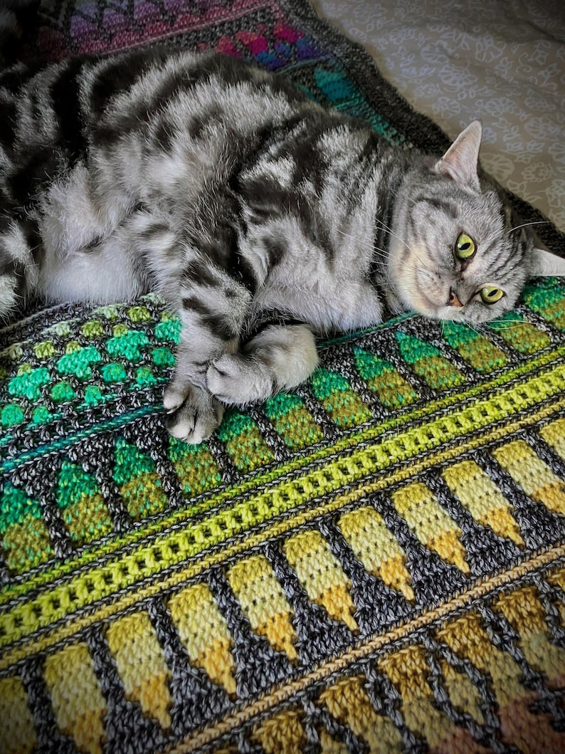 Op de afbeelding: Een zilveren tabbykat rust op een kleurrijke, handgehaakte deken. De deken heeft een geometrisch patroon in groen, geel en grijs. De vacht van de kat heeft donkere strepen en de ogen zijn helder geelgroen.