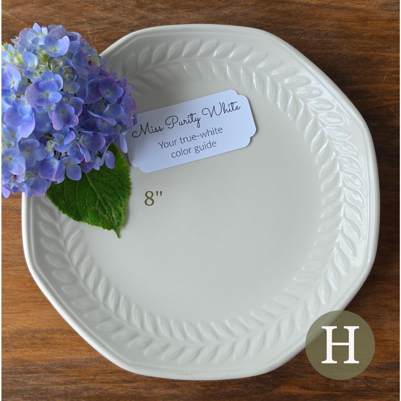 May include: An 8-inch off-white ceramic plate with a raised leaf pattern along the rim. A white tag reads Miss Purity White Your true-white color guide. A cluster of blue hydrangea flowers with green leaves rests on the left side of the plate.