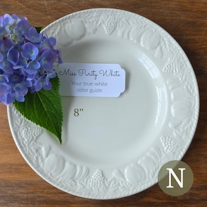 May include: An 8-inch off-white ceramic plate with a raised fruit and leaf border pattern. A white label reads Miss Purity White Your true-white color guide. A cluster of blue hydrangea flowers with green leaves rests on the left side of the plate.