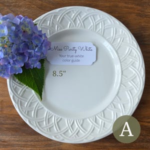 May include: A white ceramic plate with an 8.5-inch diameter and a raised woven lattice pattern on the rim. A label reads Miss Purity White Your true-white color guide. A cluster of blue hydrangea flowers with green leaves rests on the plate edge.