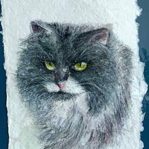 Cat Painting - Cat Portraits - Cat Drawings from Photos. Original Animal Art