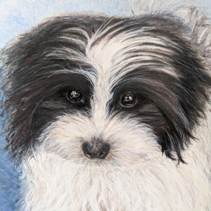 Retrato original de mascota en acuarela ~ Memorial de mascotas ~ Arte animal ~ Encargos