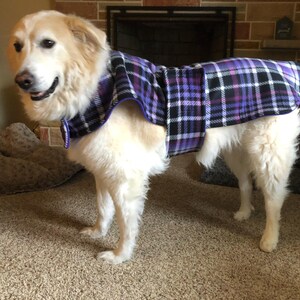 May include: A white dog wearing a purple and black plaid fleece dog coat. The dog is standing on a brown carpet.