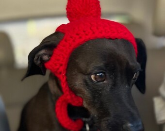 May include: A black dog wearing a red knitted hat with a pom-pom on top. The hat has a long scarf attached to it.